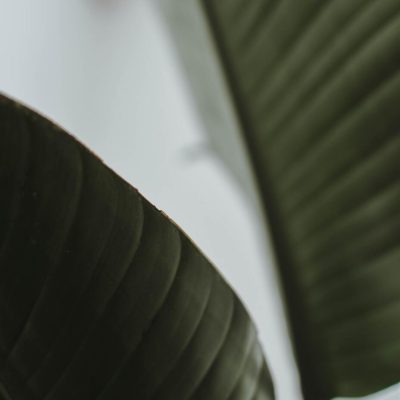 content-pixie-r5r2ysWLUQI-unsplash.jpg