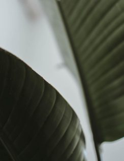 content-pixie-r5r2ysWLUQI-unsplash.jpg